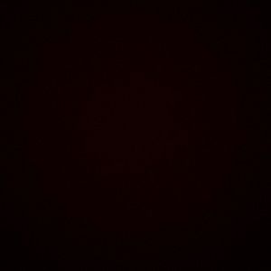 Meet your Posher, Daisy